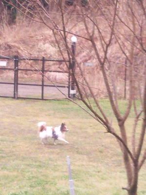 e0255026_2341577.gif