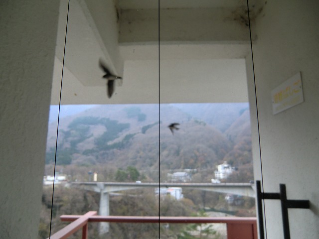 a0006033_2113141.jpg