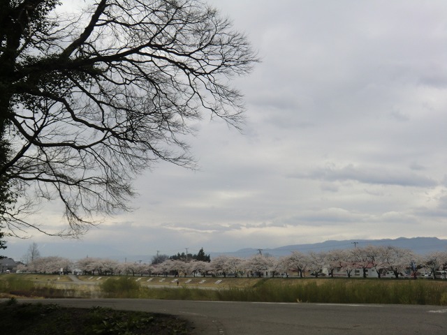 a0006033_21135576.jpg