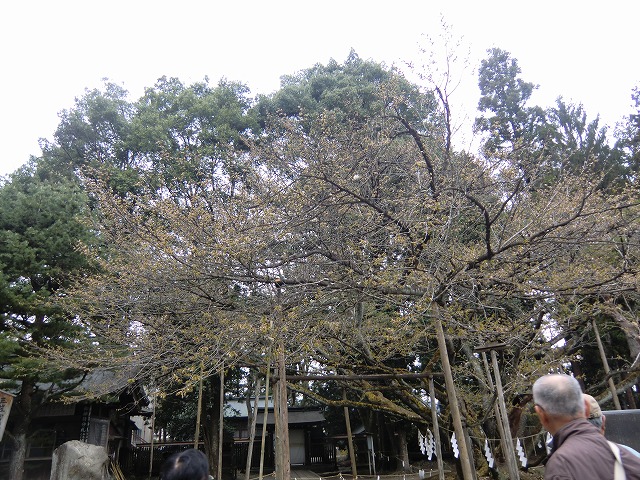 a0006033_21142519.jpg