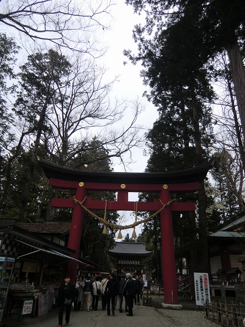 a0006033_21144847.jpg