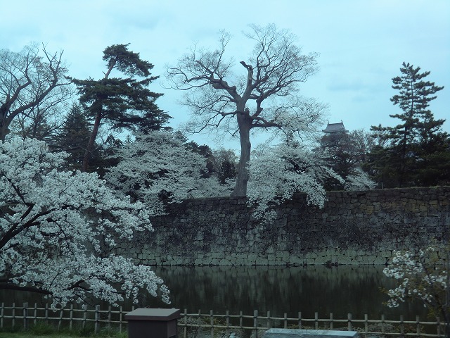 a0006033_21154935.jpg