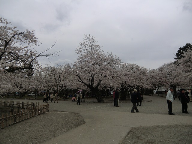 a0006033_2116653.jpg
