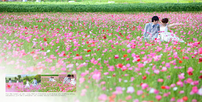 ６月のお花畑のウェディングフォト ロケーション撮影 Petite Rose