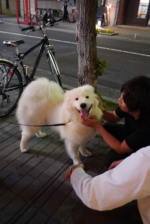 広島でお会いした… その1_e0223337_3144911.jpg
