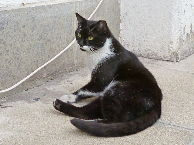 d0170140_5415093.jpg