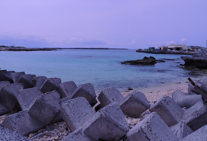 b0288942_2046478.jpg