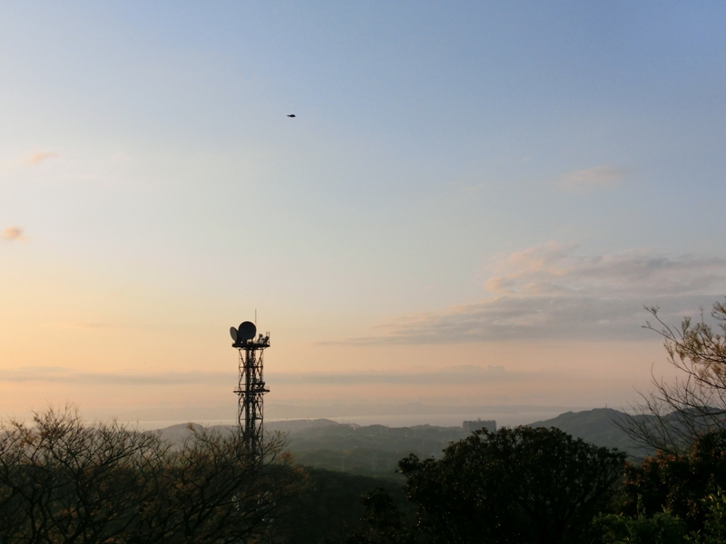 d0274344_17831.jpg