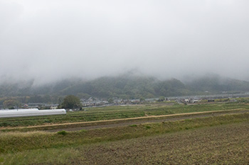 b0072947_05087.jpg