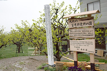 b0072947_11303.jpg