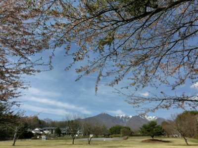 チェロコンサートのチラシ配り_f0019247_23432812.jpg