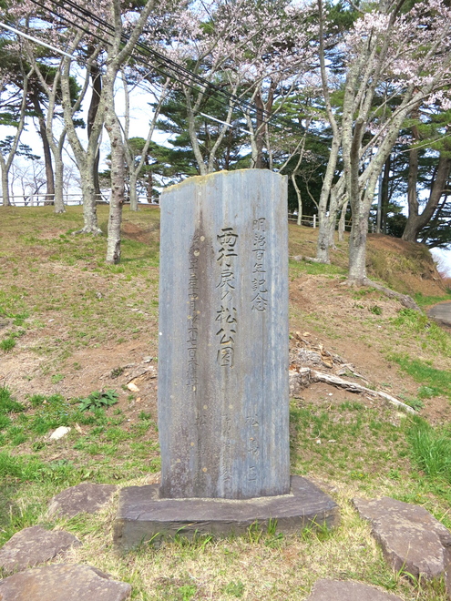 お花見 その3 とっておきの.._c0260460_170253.jpg