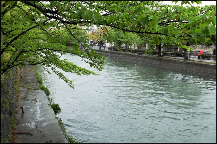 京都は緑の雨です、、、_a0031363_1393376.jpg