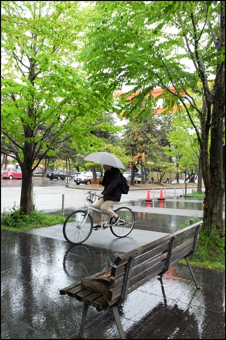 京都は緑の雨です、、、_a0031363_139509.jpg
