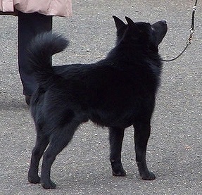 e0002466_11595419.jpg