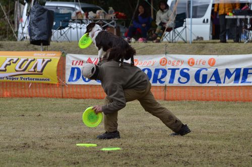 c0268774_1572818.jpg