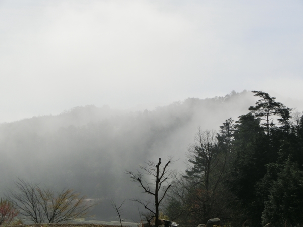 a0199979_12364288.jpg
