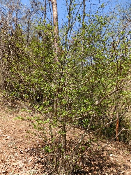 a0199979_132196.jpg