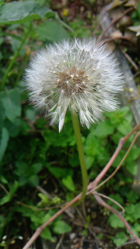 f0215179_10424616.jpg
