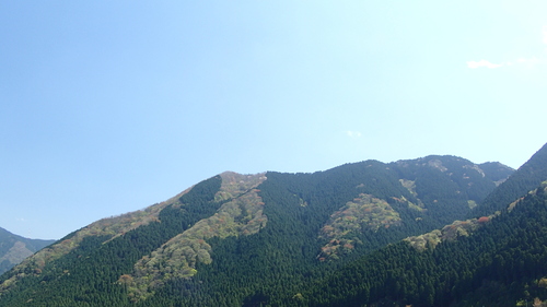 大甲山～荒尾山_e0024081_20134573.jpg