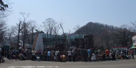 円山動物園_f0182885_1944246.jpg