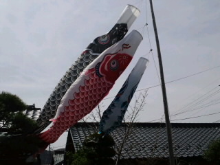 泳げ鯉のぼり!_d0027486_20544773.jpg