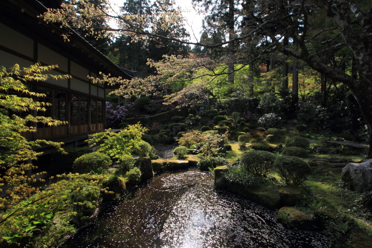 三千院_e0051888_013542.jpg