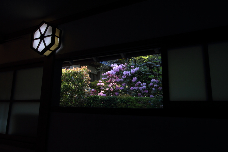 三千院_e0051888_0163649.jpg