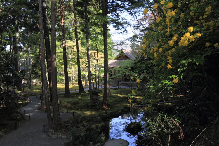三千院_e0051888_0182880.jpg