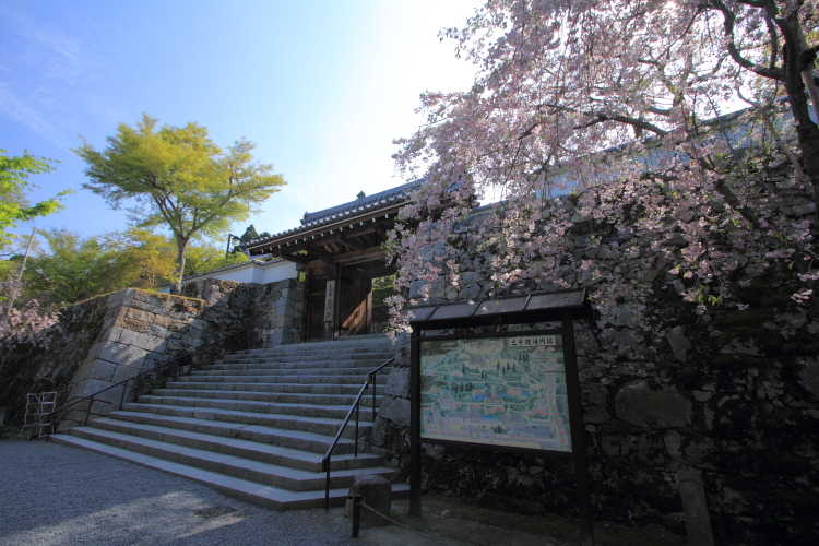 三千院_e0051888_062349.jpg