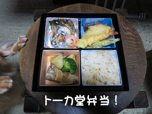 ゴールデンウィークは、田中園-SHOP-へ お越し下さい！_b0200291_21414540.jpg