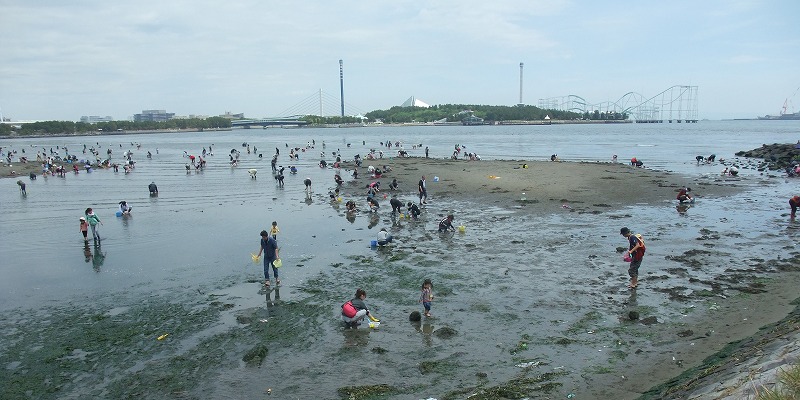 e0070891_1714148.jpg