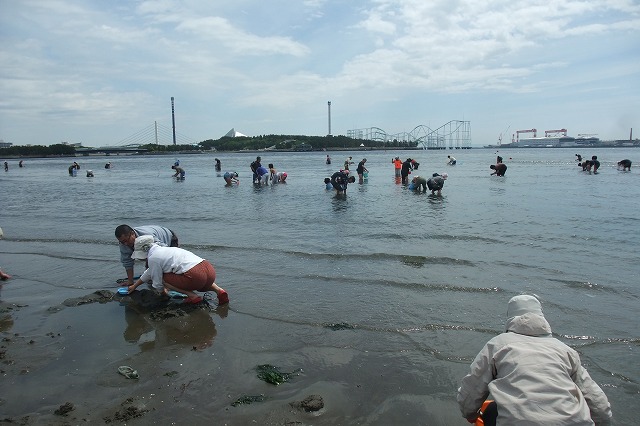 e0070891_17144586.jpg