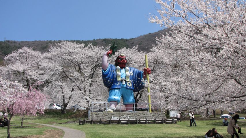 キティパークの桜_c0036792_2251361.jpg