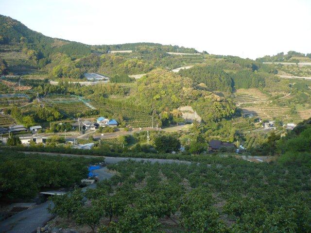 長与町木場（こば）のだんだん畑に行ってみよう！（長与町）_e0198197_2033869.jpg