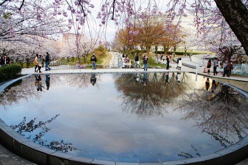 b0288598_22205558.jpg