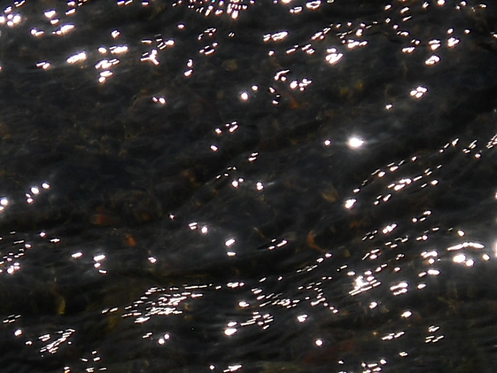 f0146802_20571088.jpg