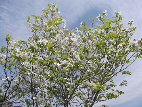 f0276510_03146100.jpg
