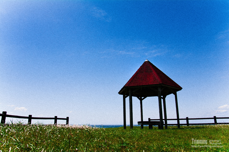 d0107811_0291284.jpg