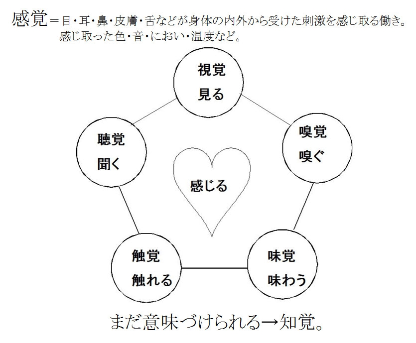 指導要領を読み解くの難しい、でも大切なんだよ。_d0146612_511461.jpg