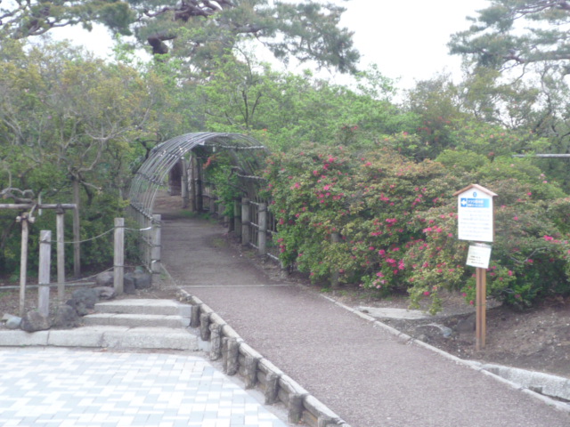 館林「つつじが岡公園」開花状況_f0239515_21504781.jpg