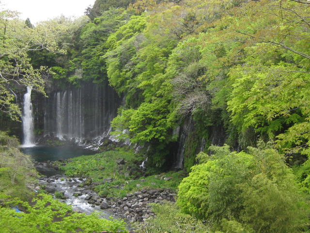 一泊の旅は雨・・・_c0085916_183681.jpg