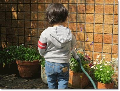 b0167519_21451666.gif