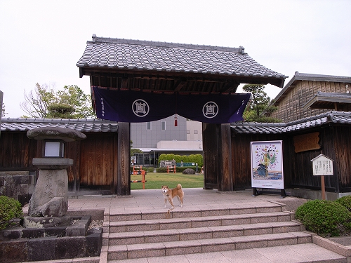 b0225620_2502149.jpg