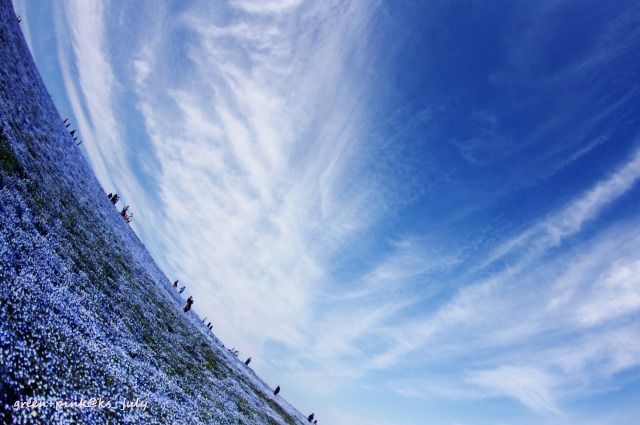 # blue sky + blue hill._b0181125_16531959.jpg