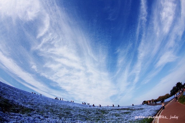 # blue sky + blue hill._b0181125_1735531.jpg