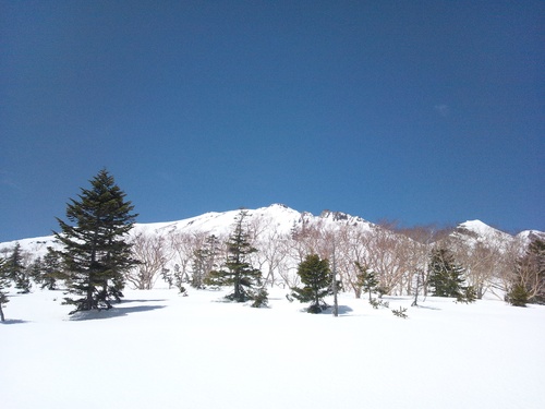 御嶽山・黒沢口滑ってきました。_a0049226_21134926.jpg