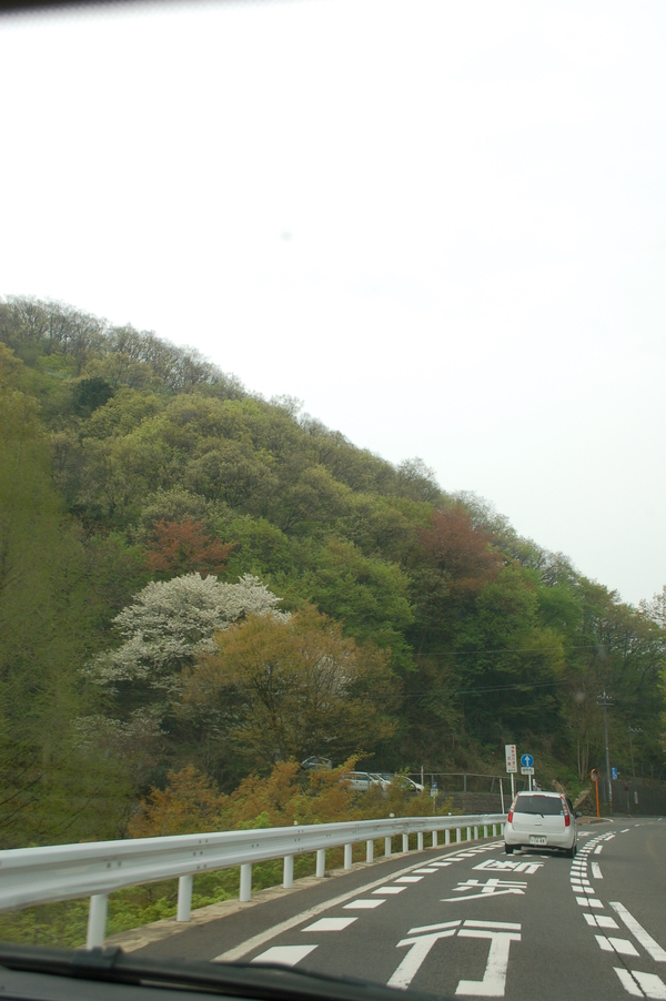 b0097729_938249.jpg