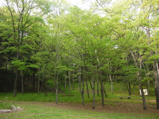 きらきら_a0228333_22291020.jpg