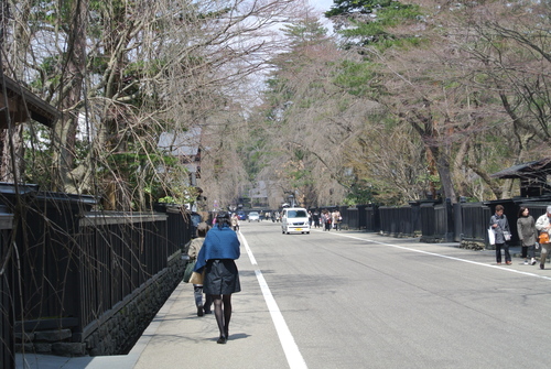 山桜花 気楽じい の蓼科偶感 山桜花 気楽じい の蓼科偶感